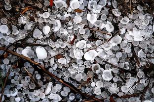 雷竞技苹果果下载